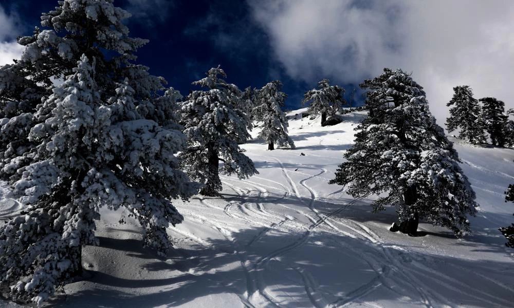 Σλοβακία: Χιονοστιβάδα "κατάπιε" ζωντανούς δύο Πολωνούς σκιέρ